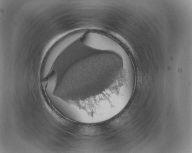 X0000082690935200702232200