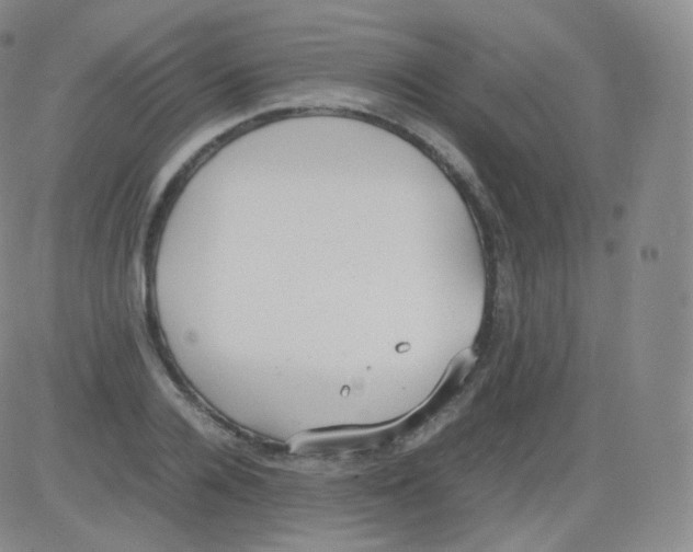 X0000082690936200702232200