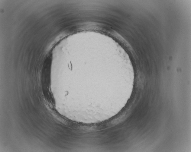 X0000082690937200702232200