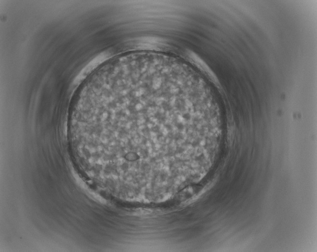 X0000082690938200702232200