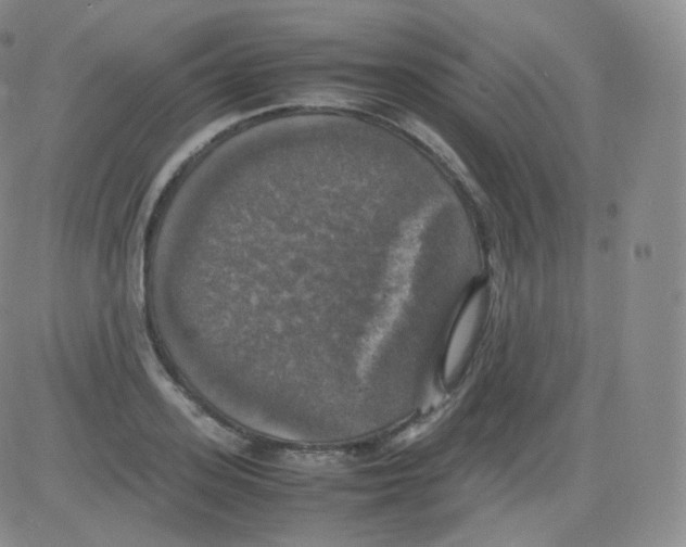 X0000082690939200702232200