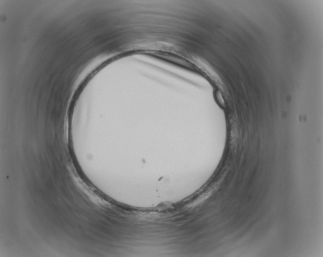 X0000082690940200702232200