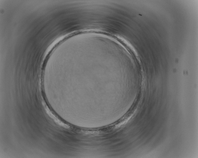 X0000082690941200702232200