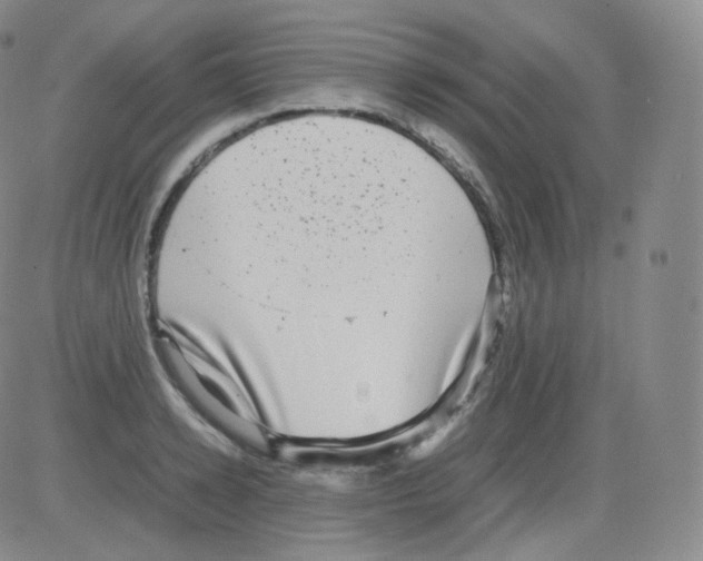 X0000082690942200702232200