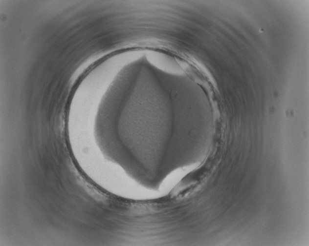 X0000082690944200702232201