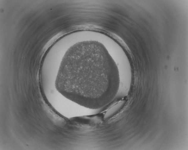 X0000082690946200702232201