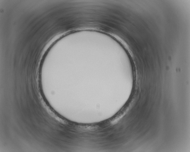 X0000082690949200702232201