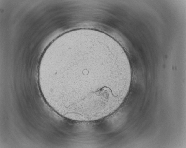 X0000082690950200702232201