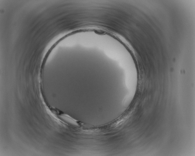 X0000082690951200702232201