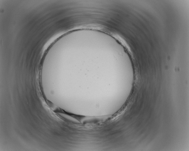 X0000082690952200702232201