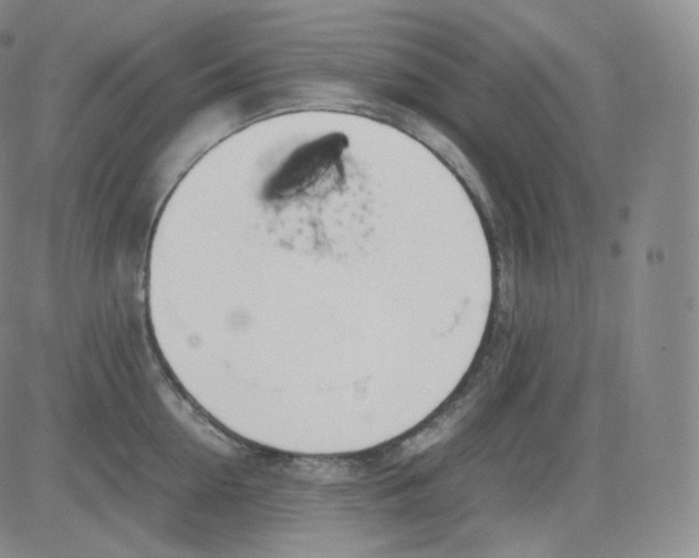 X0000082690954200702232201