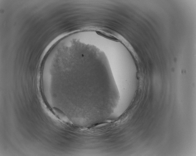 X0000082690955200702232201