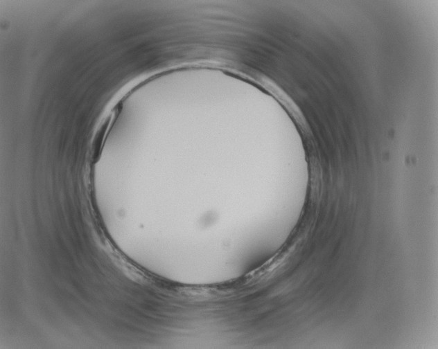 X0000082690956200702232201