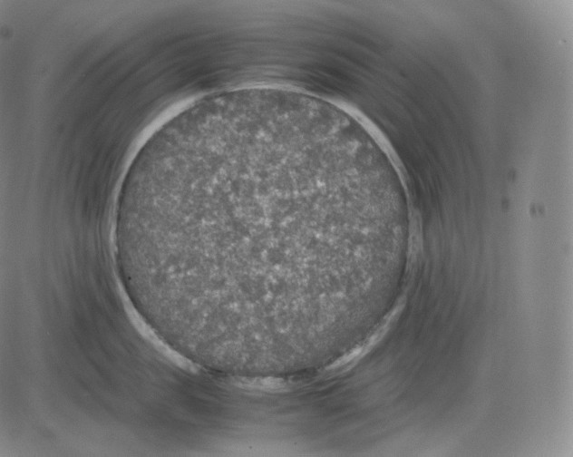 X0000082690957200702232201