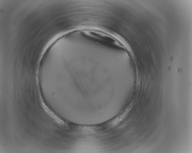 X0000082690958200702232201