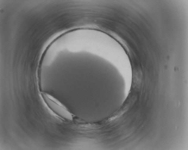 X0000082690959200702232201