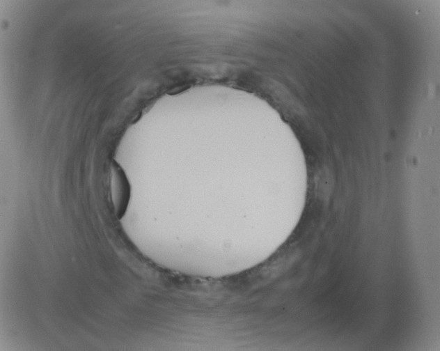 X0000082690961200702232200