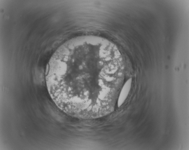 X0000082690963200702232200