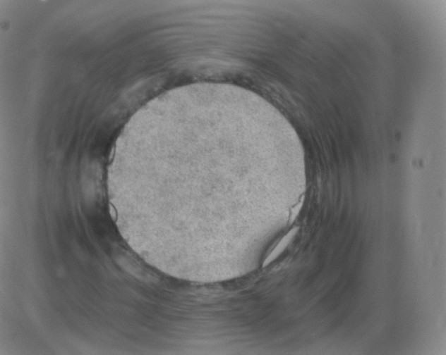 X0000082690964200702232200