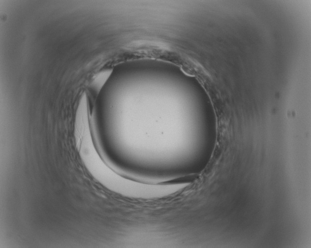 X0000082690965200702232200