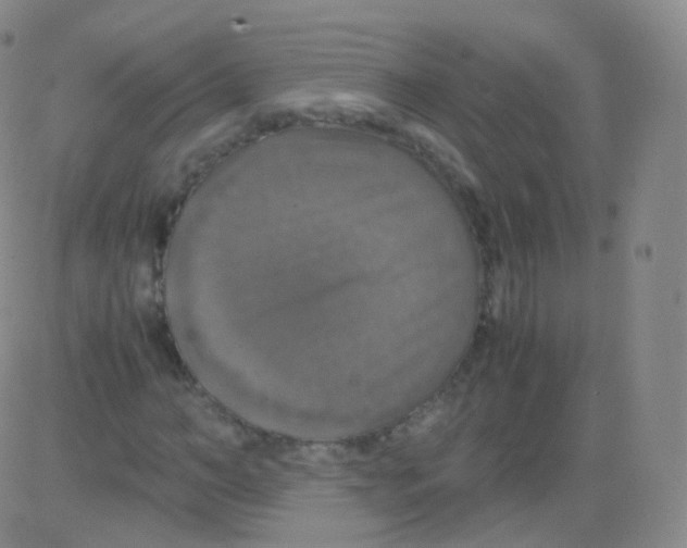 X0000082690966200702232200