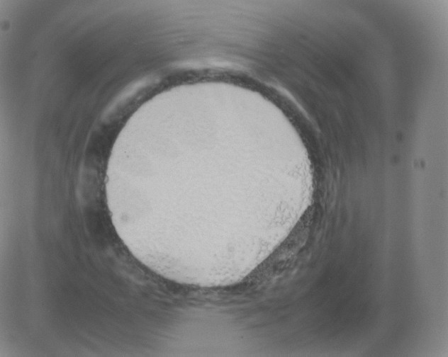 X0000082690967200702232200