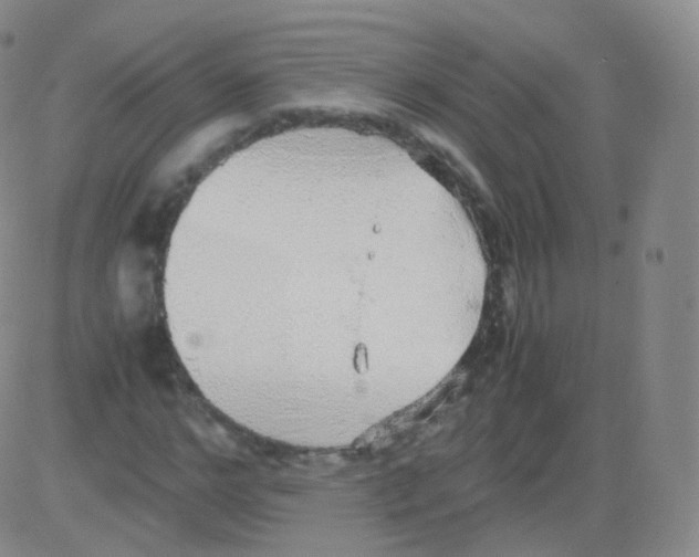 X0000082690968200702232200