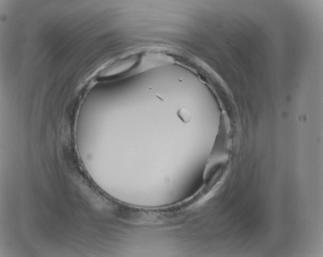 X0000082690969200702232200