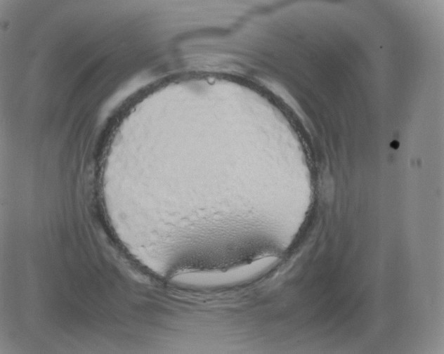 X0000082690971200702232200