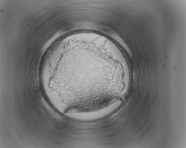 X0000082690972200702232200