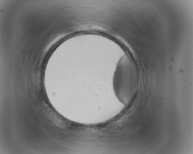 X0000082690975200702232200