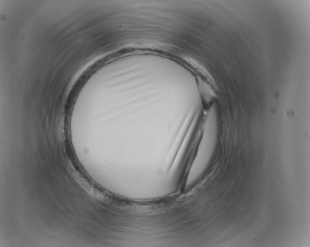 X0000082690976200702232200