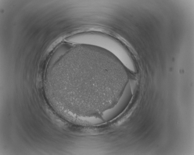 X0000082690977200702232200