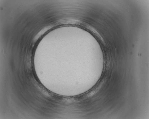 X0000082690978200702232200