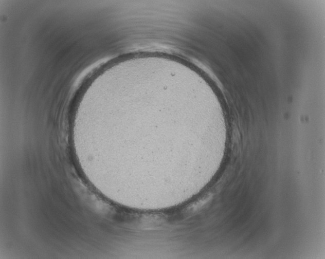 X0000082690979200702232200