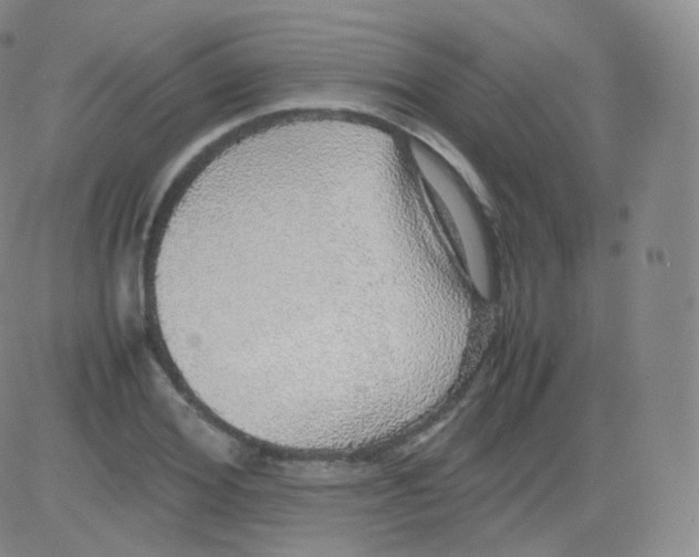 X0000082690980200702232200