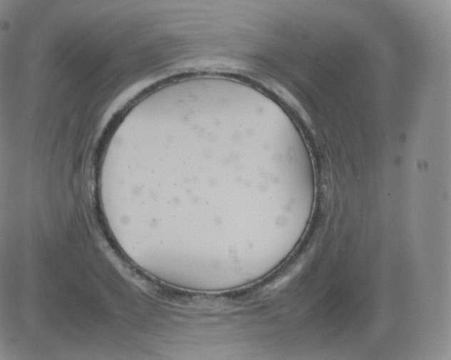 X0000082690981200702232200