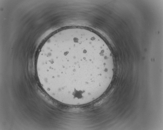 X0000082690982200702232200