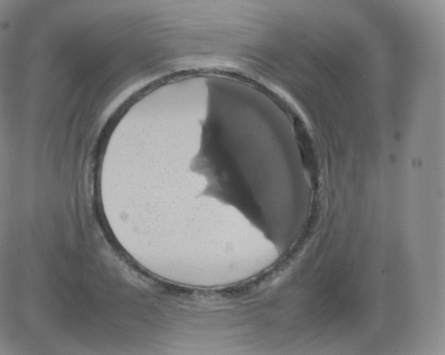 X0000082690983200702232200