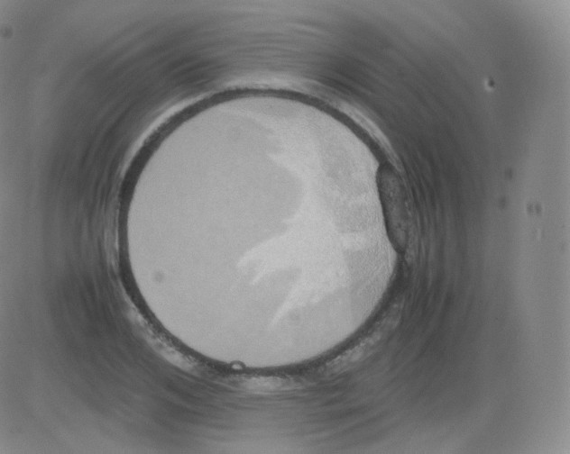 X0000082690984200702232200