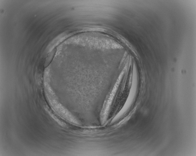 X0000082690985200702232200