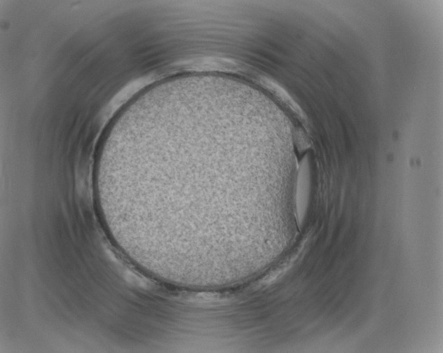 X0000082690986200702232159