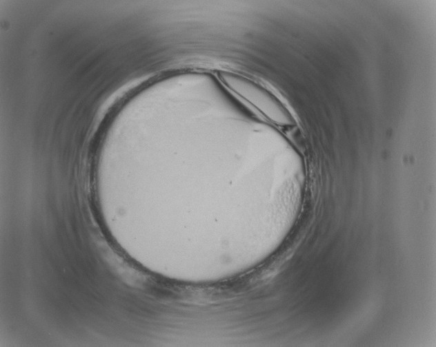 X0000082690987200702232159