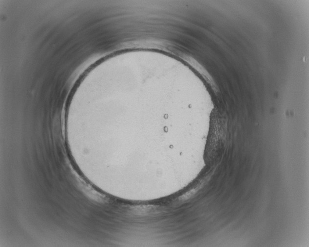 X0000082690988200702232159