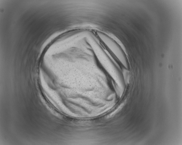 X0000082690989200702232159