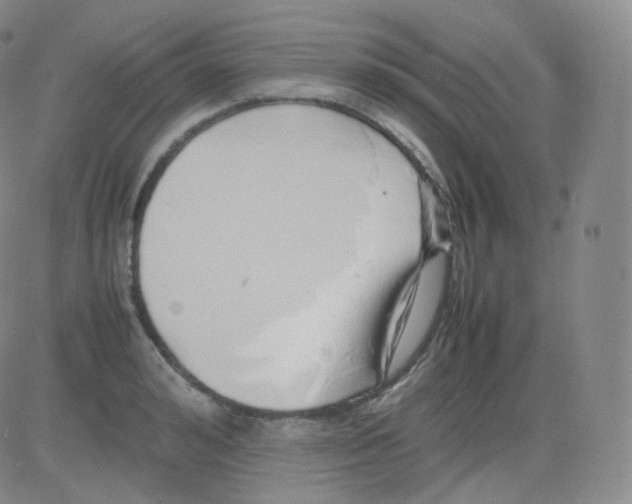 X0000082690992200702232159