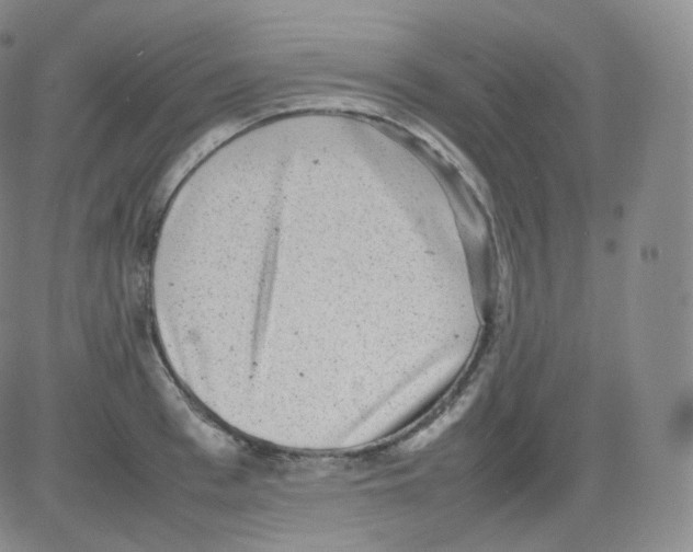 X0000082690993200702232159