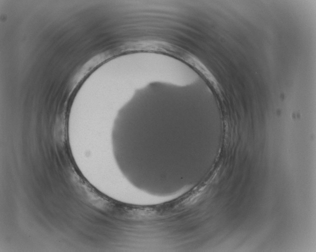 X0000082690994200702232159