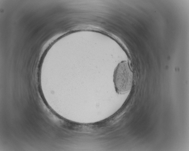 X0000082690995200702232159