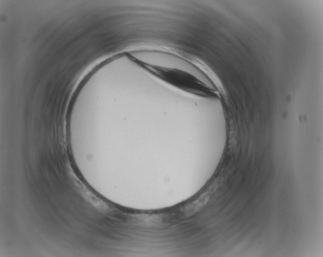 X0000082690996200702232159